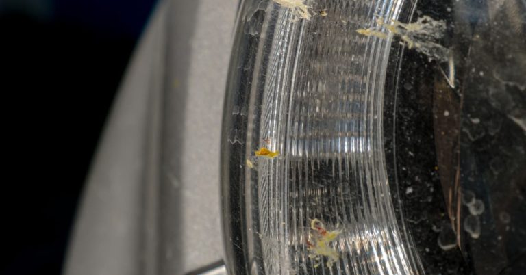 Ako odstrániť hmyz z karosérie auta?